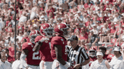 Alabama Football Roll Tide GIF by The University of Alabama