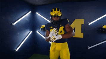Go Blue College Football GIF by Michigan Athletics