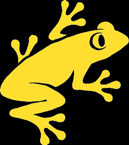Frog Followthefrog GIF by Rainforest Alliance