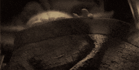 yoda baby yoda themandalorian GIF