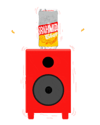 beer musica Sticker by BrahmaParaguay