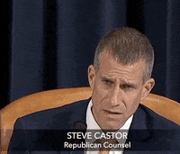 news impeachment impeachment inquiry steve castor GIF
