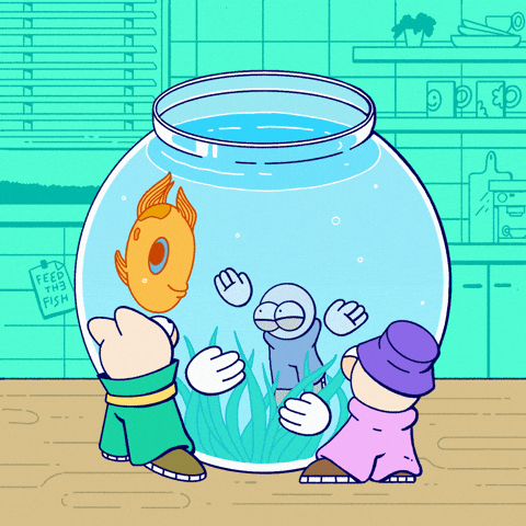 Globkins underwater aquarium fish tank fishbowl GIF