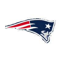 New England Patriots Nfl Sticker by imoji