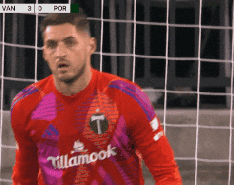 Portland Timbers No GIF by Major League Soccer
