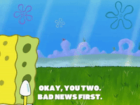 season 8 episode 20 GIF by SpongeBob SquarePants