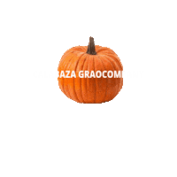 Calabaza Sticker by Graocompany