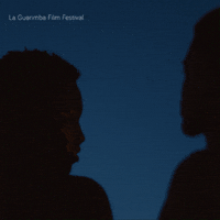 Friends Misunderstand GIF by La Guarimba Film Festival