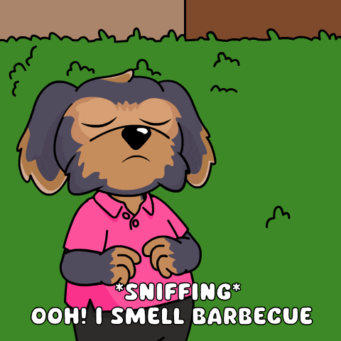 Independence Day Bbq GIF by BoDoggos
