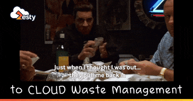 zestyco  GIF