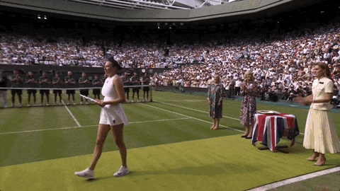 Amanda Anisimova GIF by Wimbledon