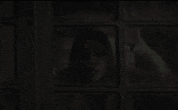 Natal Fabioporchat GIF by Porta Dos Fundos