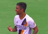 soccer lol GIF by LA Galaxy