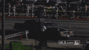 GIF by MLB