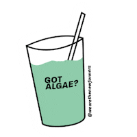 drink healthy juice protein smoothie Sticker