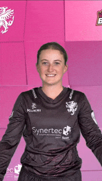 T20 Vitality Blast GIF by Somerset County Cricket Club