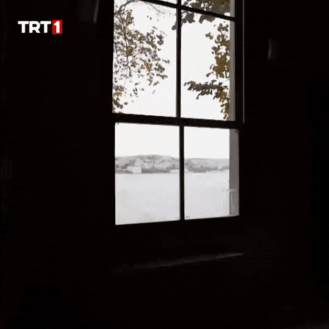 Go Out Home GIF by TRT