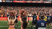 Rugby League Win GIF by Dragons Catalans