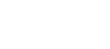 BirdsBees birds and bees birds bees Sticker