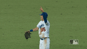 Los Angeles Dodgers Sport GIF by MLB