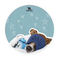 Good Night Love Sticker by Top2Tail
