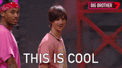 This Is Cool Big Brother GIF by Big Brother Australia