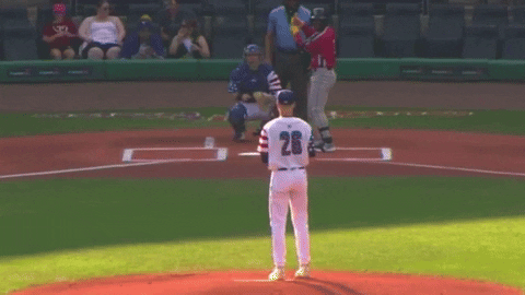 tesstass giphyupload GIF
