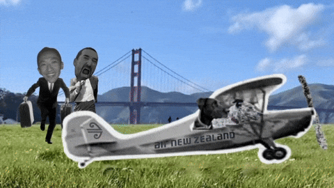 GIF by Sniff San Francisco