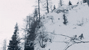 Glacier_3000 winter ski switzerland freeride GIF