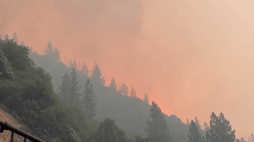 Mosquito Fire Burning in Northern California Grows to Over 1,200 Acres