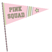 go team flag Sticker