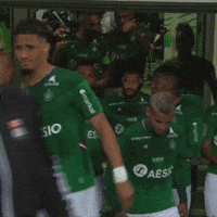 Go Ligue 1 GIF by AS Saint-Étienne