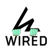 Wiredsnowboards Sticker by Rob