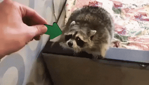 Upvote GIF by Imgur