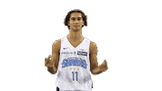 Basket Sticker by Antibes Sharks