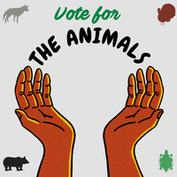 Illustrated gif. Brown hands stretched upward on a misty gray background, cradling a wave, a tree, a bison, the Earth, framed by silhouettes of a bear, a wolf, a turkey, and a turtle. Text, "Vote for the waters, the land, the animals, the Earth."