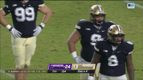 GIF by Northwestern Athletics