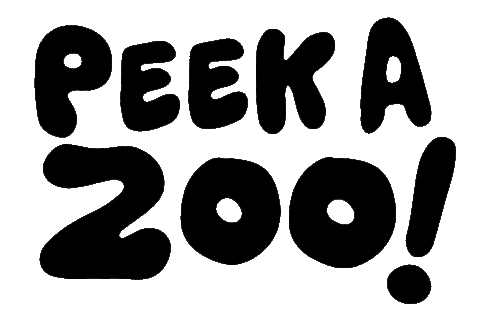 hello2millie giphyupload peekazoo Sticker