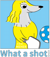 Golden Retriever Pickleball GIF