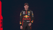 Ver Red Bull GIF by Red Bull Racing Honda