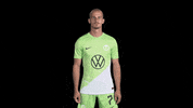 Football No GIF by VfL Wolfsburg