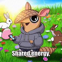 Sun Wisdom GIF by Chillo Dillo