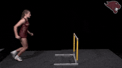 Trackfield GIF by CUCougars