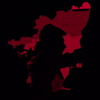 Dmk GIF