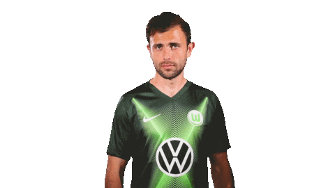 vflwolfsburg giphyupload soccer sticker instagram Sticker