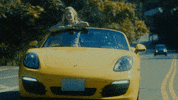 Netflix It Sucks GIF by Avonlea