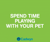 GIF by Cadwyn Housing Association