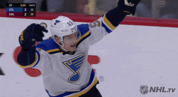 Happy Ice Hockey GIF by NHL