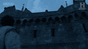monty python castle GIF by HISTORY UK