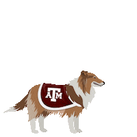 Compete College Football Sticker by Wells Fargo